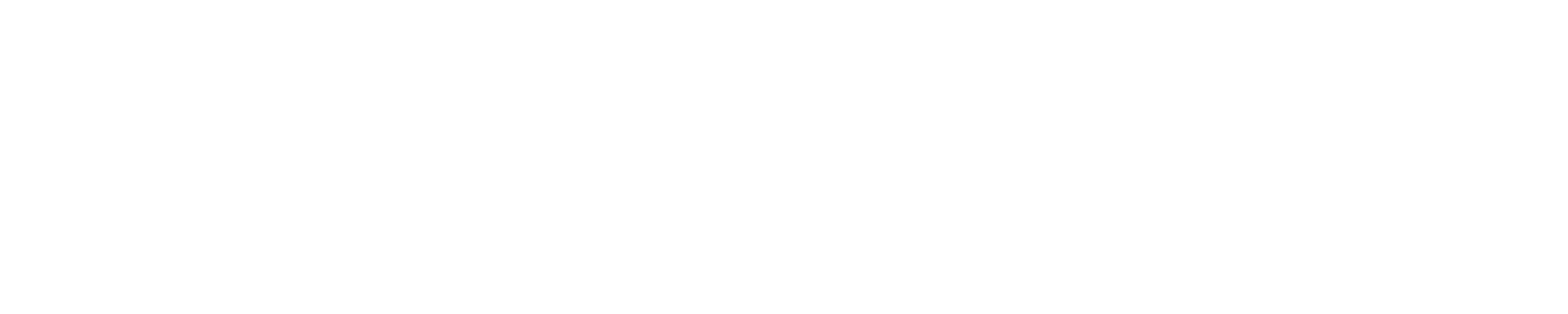 EnsitefulAI